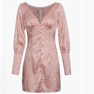 Dusty Pink Leopard Print Long Sleeve V-neck Satin Mini Dress